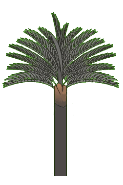Pohon Sagu